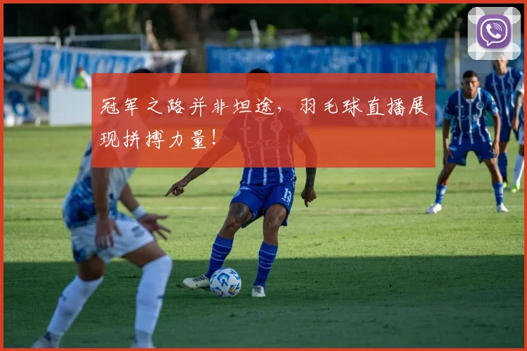 冠军之路并非坦途，羽毛球直播展现拼搏力量！
