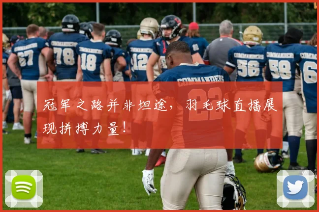 冠军之路并非坦途，羽毛球直播展现拼搏力量！