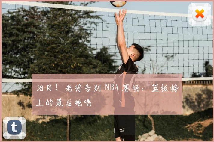 泪目!老将告别 NBA 赛场,篮板榜上的最后绝唱