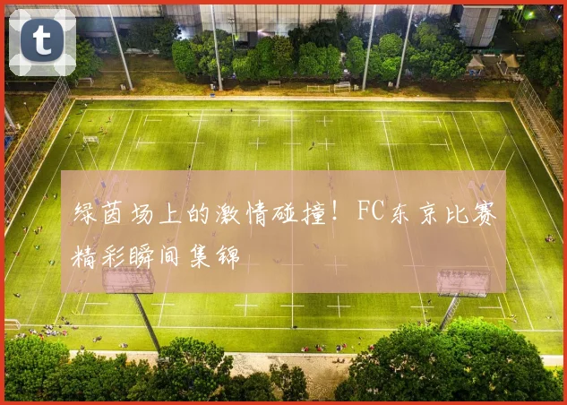 绿茵场上的激情碰撞!FC东京比赛精彩瞬间集锦